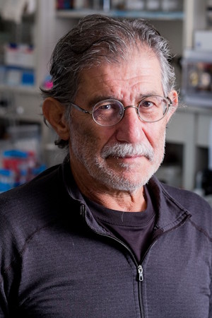 Brian Chait